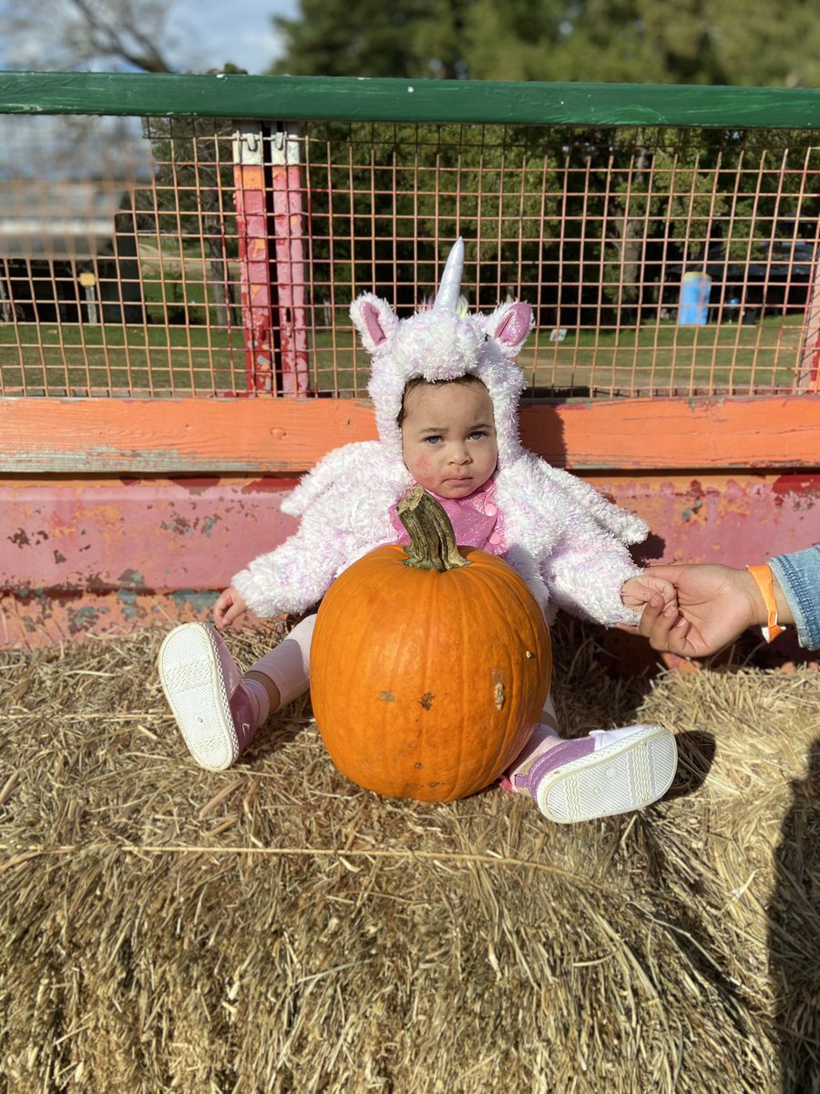 __cvatroXX's tweet photo. (Excuse my feet😂).. for you, these the days I prayed for. stinky’s first Halloween in the books!😍👻🎃🌍 #NovasDad #MyPumpkins https://t.co/zyLgm9GPv3