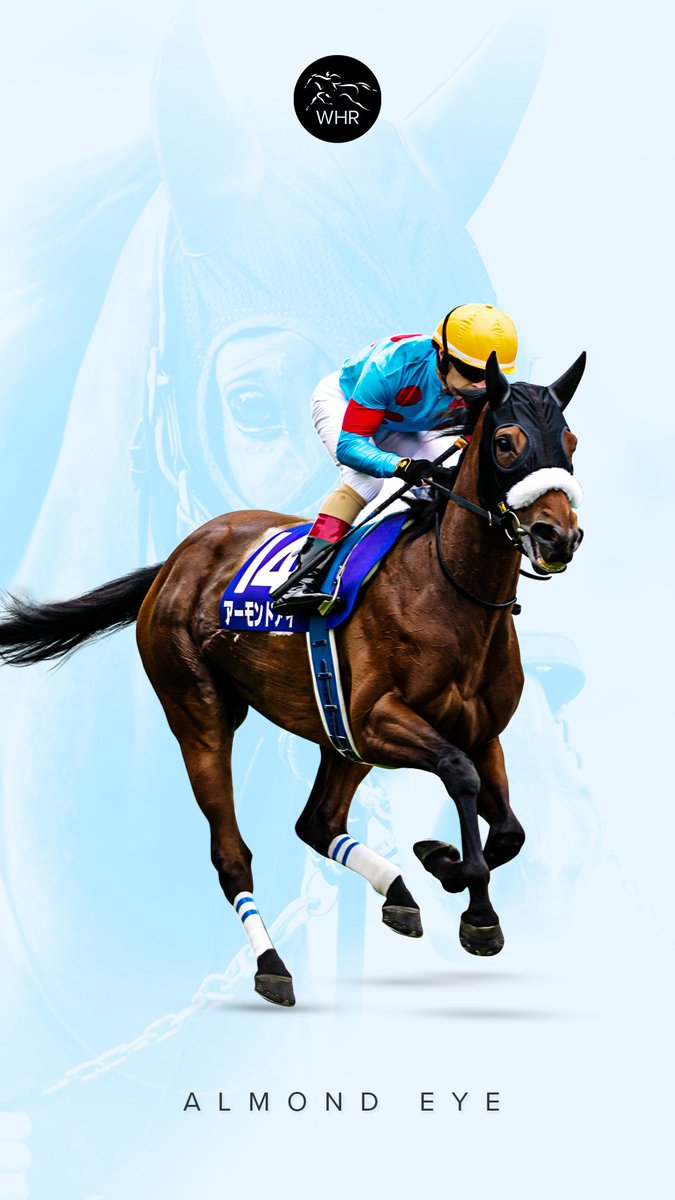 World Horse Racing Are You A Fan Of Almond Eye アーモンドアイ Update Your Wallpaper To The Record Breaking Tenno Sho Winner Jra 競馬 騎手 T Co G84doochiu World Horse Racing Are You A Fan Of Almond Eye アーモンドアイ Update Your Wallpaper To The Record Breaking Tenno Sho Winner Jra 競馬 騎手 T Co G84doochiu