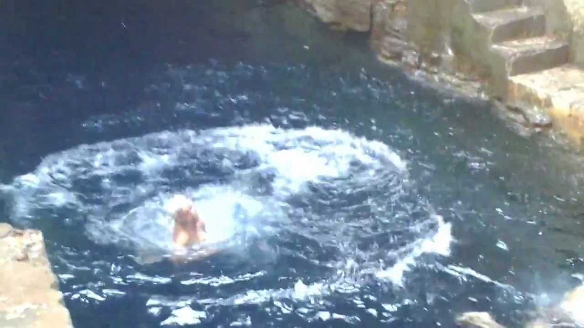 Mahabharata ConnectionAs per legend, during the Pandava exile Draupadi fainted out of dehydration. Bheem then raised his mace and hit it hard on the ground. The earth collapsed in that spot and water sprouted out of it. This is how Bheem Kund is believed to have been formed.