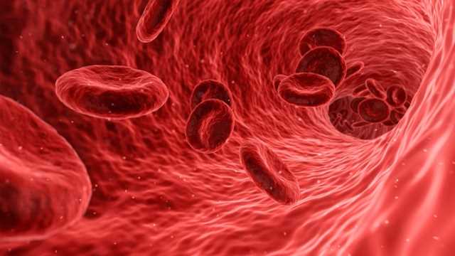 #6. The normal hormonal and semen production is a day to day process. so what the hell happens to the already stored/filled hormones? Simple, it gets fused with our blood cells and later in bone marrow. Makes bones stronger. Gets used as one of the "growth hormone" in your body