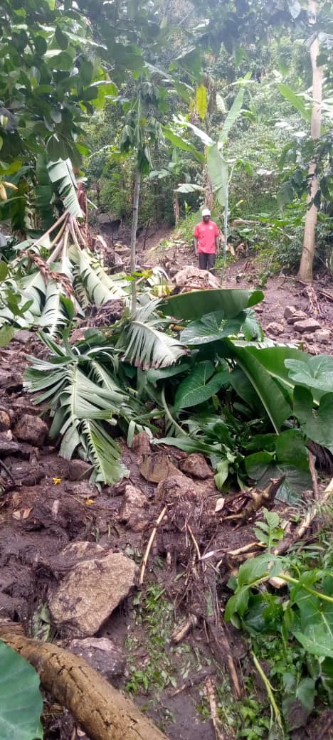 UgandaRedCross's tweet photo. Heavy rains have caused landslides and displacements in Kasese district. Our team on ground has conducted rapid assessment together with the @KaseseUg
Over 1200 families displaced.
#StandWithKasese #Malibalandslides @eu_echo @ifrc @IFRCAfrica @opmdpm @GovUganda @UNinUganda https://t.co/Qk4OsC0Zhz