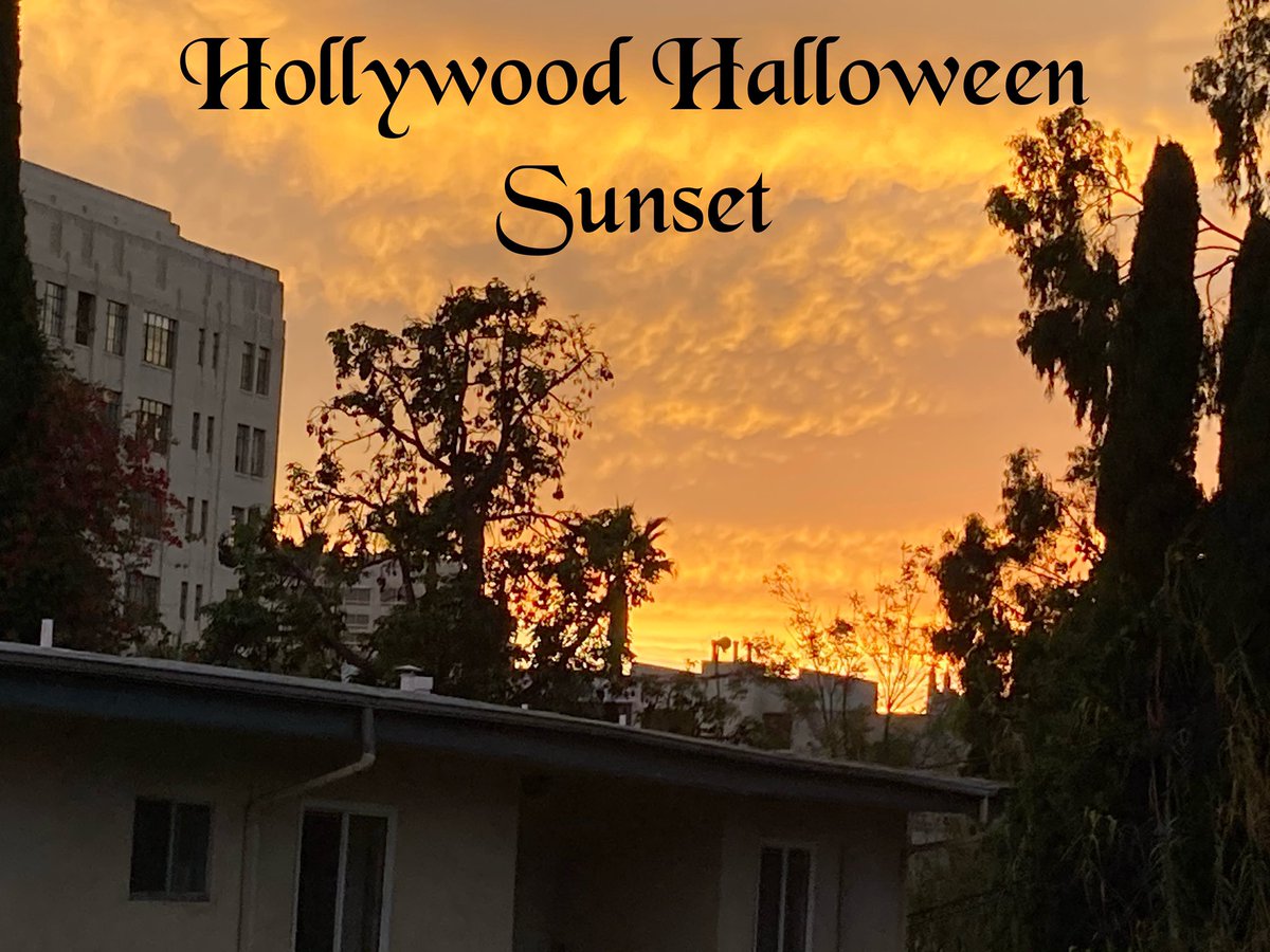 1SharonGraphics's tweet image. 