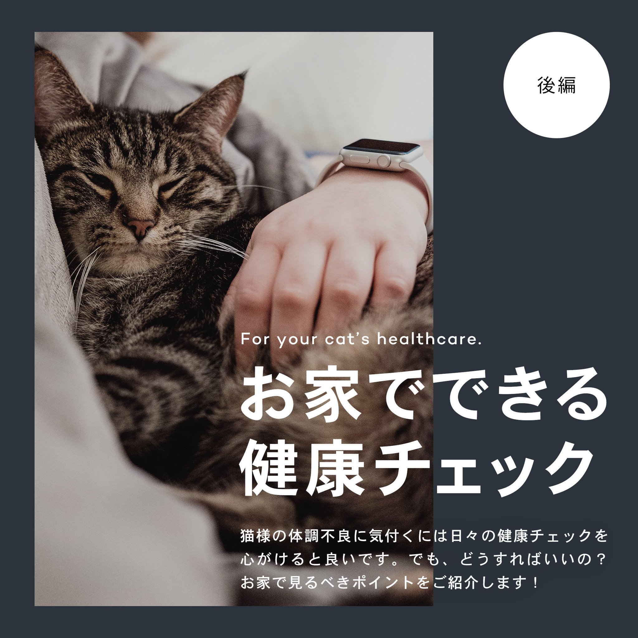 Catlog キャトログ Pa Twitter Instagramで お家でできる健康チェック の後編を更新しました 日頃から猫様の健康を気にすることで 微妙な違和感に気付けるようになります 猫様は体調不良を言葉で説明することはできませんので 是非気にしてみてくださいね