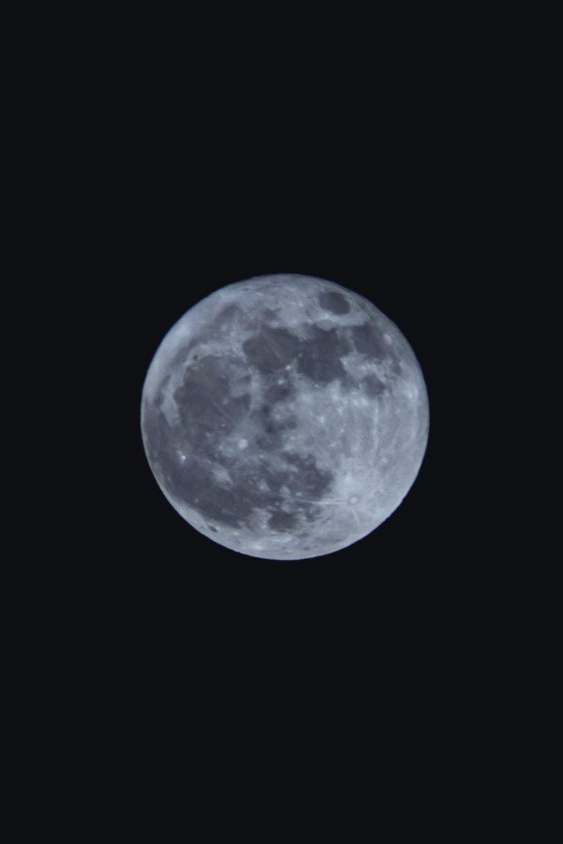 sheisanewart's tweet photo. ¿Qué es esta bellezaaaa de hoy?😍✨
Foto: @alfrekjv
#LunaAzul #LunaLlena #31Oct2020 https://t.co/mHVdzvOR0L