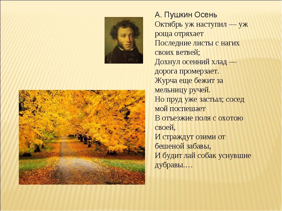 Все тише ветви мне стучат. Осень отрывок октябрь уж наступил уж роща отряхает. Пушкин осень стихотворение октябрь уж наступил.