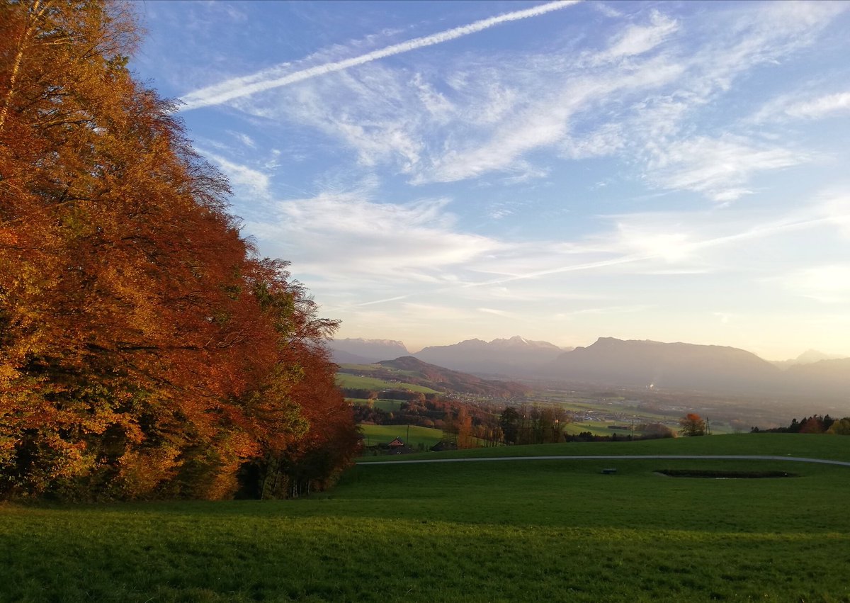 Morgen😊Habt ihr Halloween gut überstanden? Ich hatte eine etwas kurze Nacht.🙈Aber da wir ja nicht wie gewohnt von Tür zu Tür gehen konnten, haben wir es zu Hause mit unseren Kindern krachen lassen. Man ist nie zu alt für diesen Scheiß.😜

#HappyHalloween #dayafter #goodmorning
