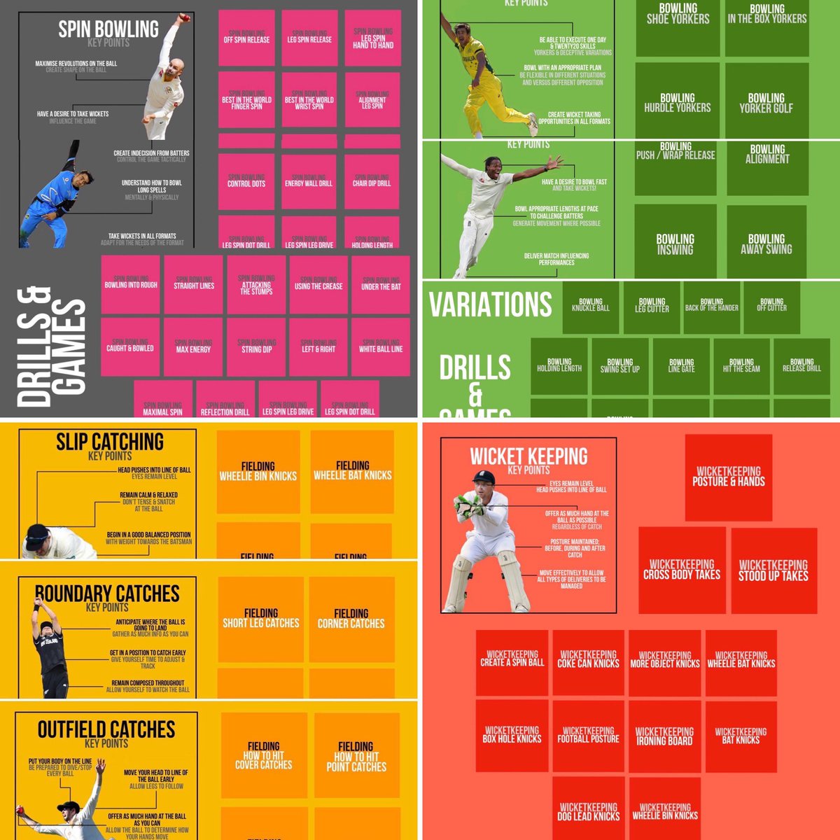 The Cricket Consultant tweet media