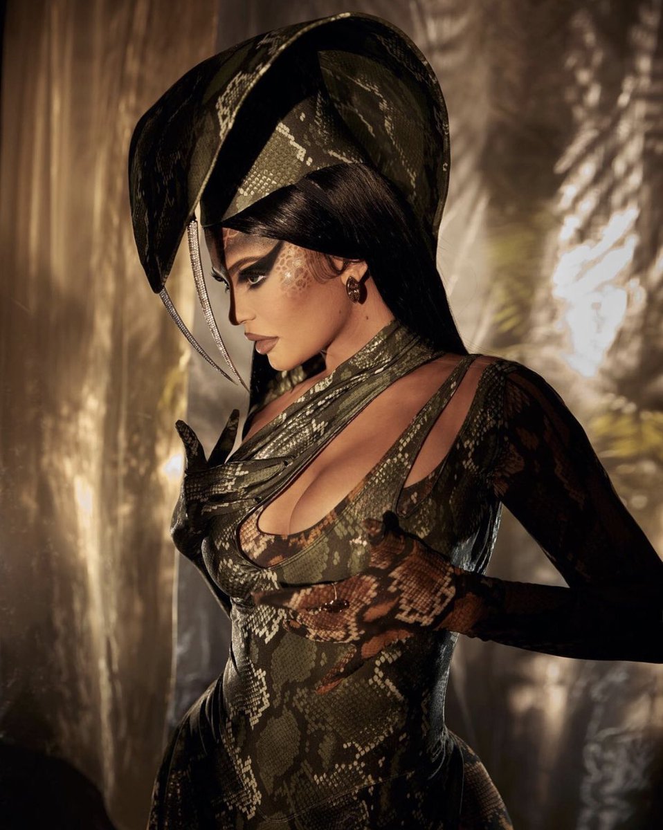 Kylie Jenner tweet media