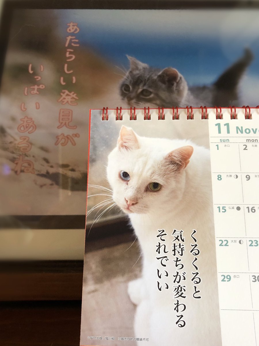 猫川柳カレンダー