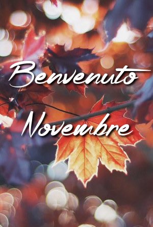 ThatSabrina's tweet image. Right then November, some of us will be in lockdown so be nice ok? A bit of sunshine here and there would be much appreciated! #novemberlockdown