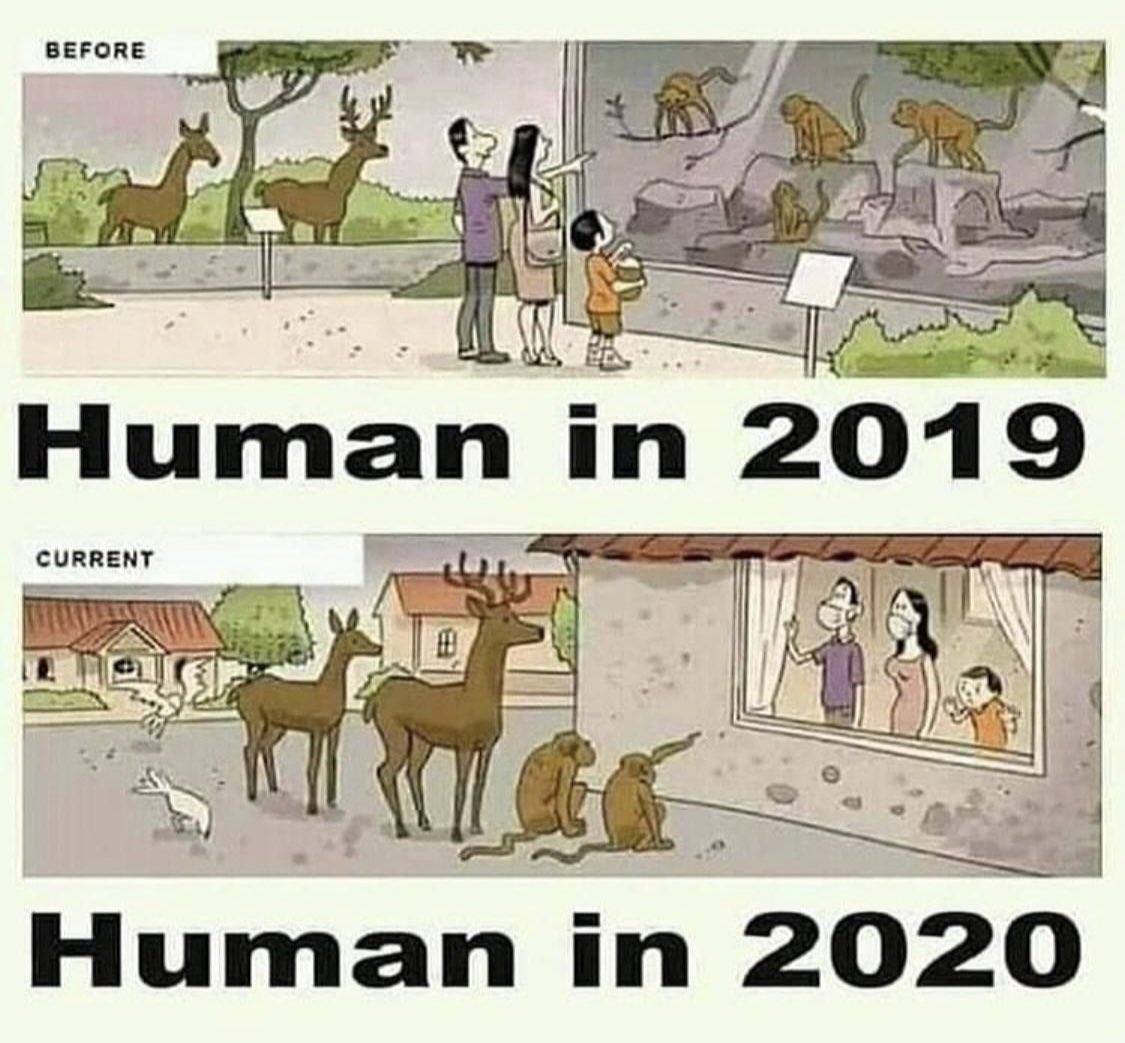 sarahwillers's tweet image. 🙈