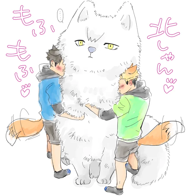 構図参照w北しゃんもふもふでしゅ 