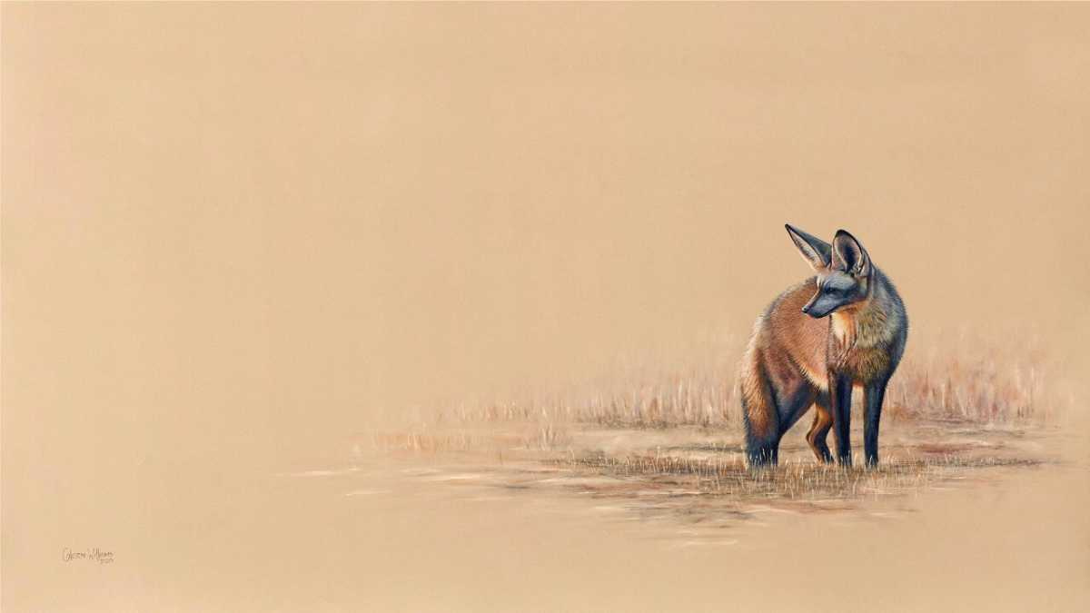 Tswalu Kalahari Reserve tweet media