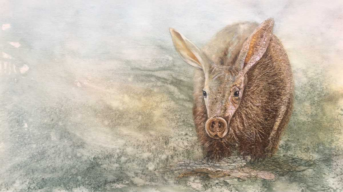 Tswalu Kalahari Reserve tweet media