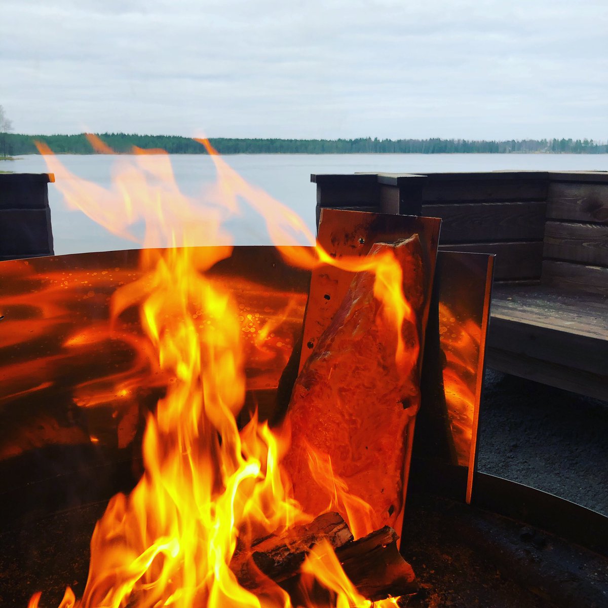 noorakulmala's tweet photo. Kyllä kelpaa... Loimulohta marraskuun alkuun. #loimulohi #laavulla #lastujärvi #turenki https://t.co/xtZnXvL3Im