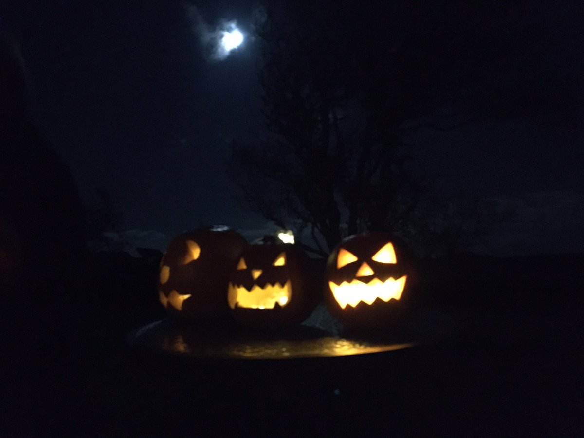 BeckyMillhouse's tweet photo. So windy last night that these fellas were lit with strings of lights. No candle could compete with the strong south-easterly. 
#snuffedout #Halloween #inthegarden https://t.co/3XZrNC707T