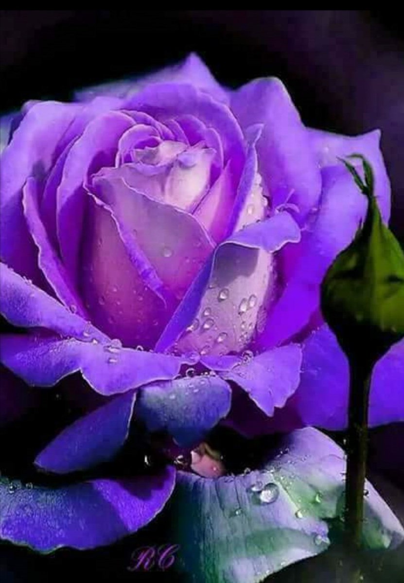StellaMorero's tweet photo. This is for you who fight everyday with a silent enemy and struggle to face all the difficulties 💜
#epilepsy #epilepsyawarenessmonth #EpilepsyAwareness #seizures https://t.co/Yw4BVyIFfD