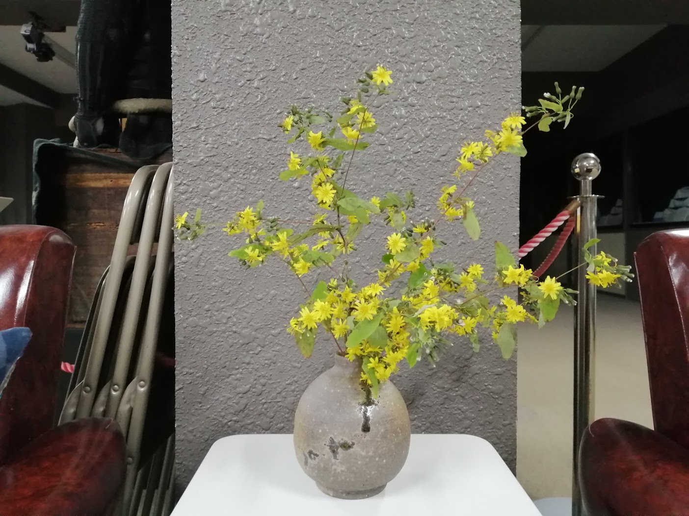 むーやん 職場の生け花 備前焼の一輪挿し ヤクシソウ 有田焼の桶型花瓶 花弁を抜いたダリア ヤクシソウ ヨウゾメ ヤクシソウはすごく可愛いお花なのですが ビックリするくらい散る上に 水揚げがよろしくないのでオススメしません