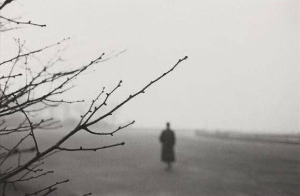 Jopolkadot's tweet photo. “November is secret and silent”

Alison Uttley

Photography © Harry Callahan
Eleanor
Chicago 
1952 https://t.co/GUYe7l8PMY