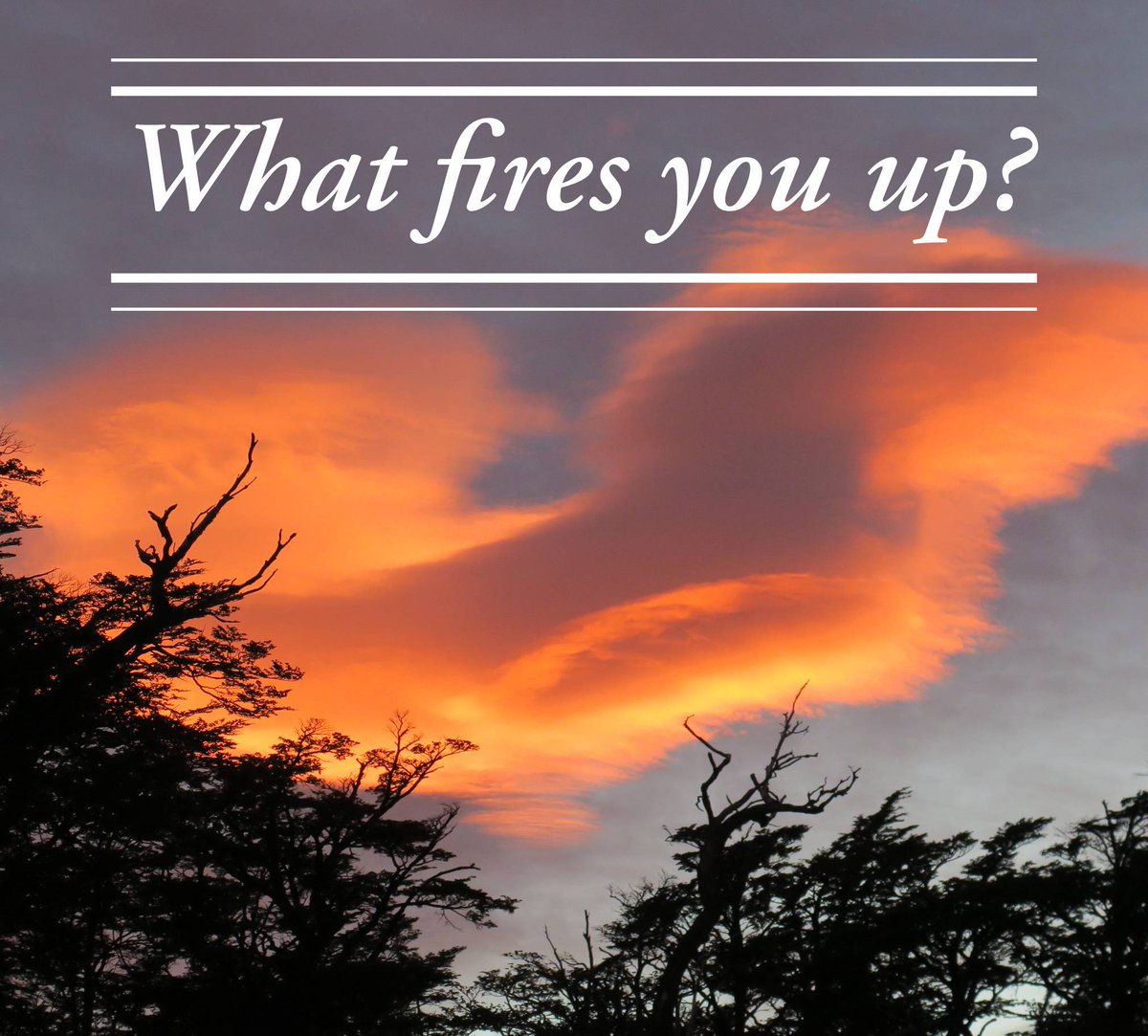 dianatcoach's tweet photo. What it is that you enjoy doing that makes you shout of excitement?
Whatever it is do more of that.
Feed yourself from that energy. Surround yourself by people who bring positivity and strength to your life.
#whatfiresyouup #excitement #energy #positivity #joy #domoreofthat https://t.co/5LeGLHfuQZ