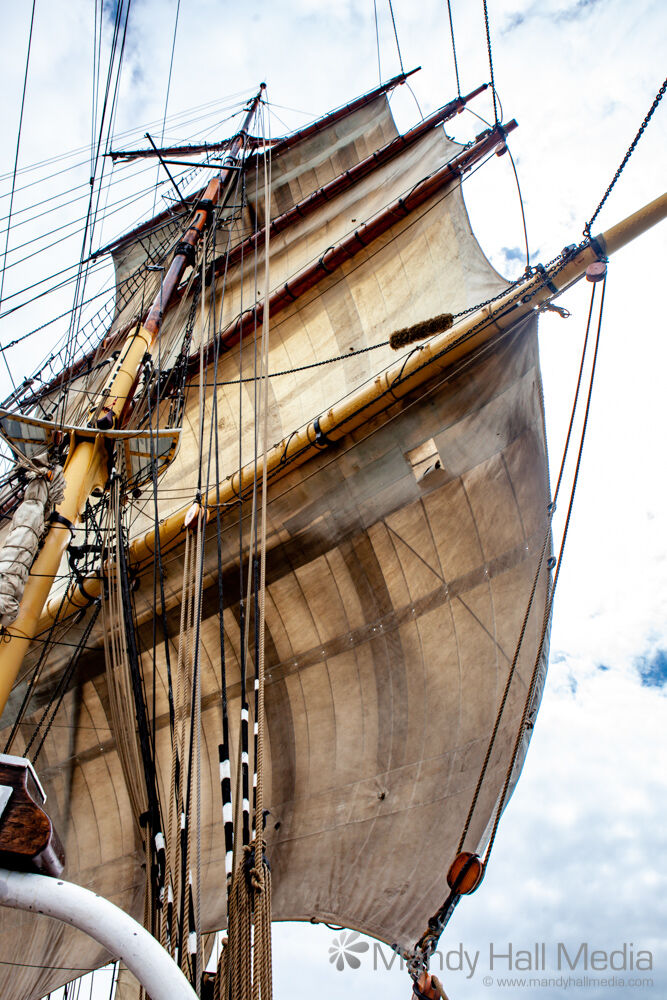 Sails on the James Craig 
#sailing #galleon #barque #tallship #sailingship #jamescraig #sails #PhotoOfTheDay #dailyphoto

See more at mandyhallphotos.com