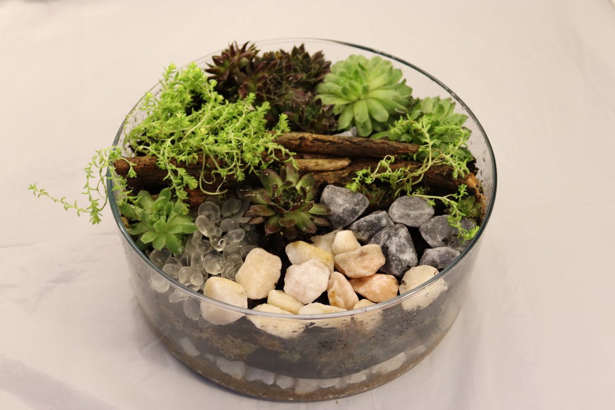 Todays Terrarium with overgrown moss #terarium, #plants,#succulents,#titygarden,#gardeninaglass,#relaxing #newcastleupontyne #durham #northeasthomes #northeastbloggers #neoffers #northeastartist #northeastcreatives #handmadeterrarium #giftidea #homedecor #plantsofinstagram,#moss