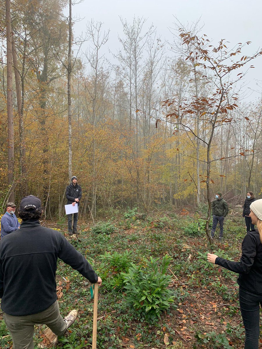 🌳🌱🌿 Yesterday the Geneva Hub planted more than 300 trees yesterday around Nyon to fight #climatechange, preserve #biodiversity and offset #carbonfootprint.

Thanks Almighty Tree for the invite and opportunity!

#Environment #Impact #GlobalShapersGeneva #GlobalShapersCommunity