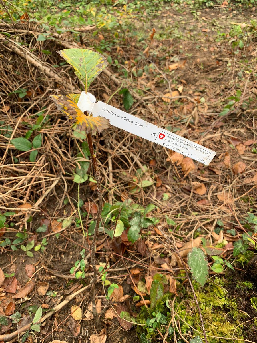 Geneva Hub tweet media