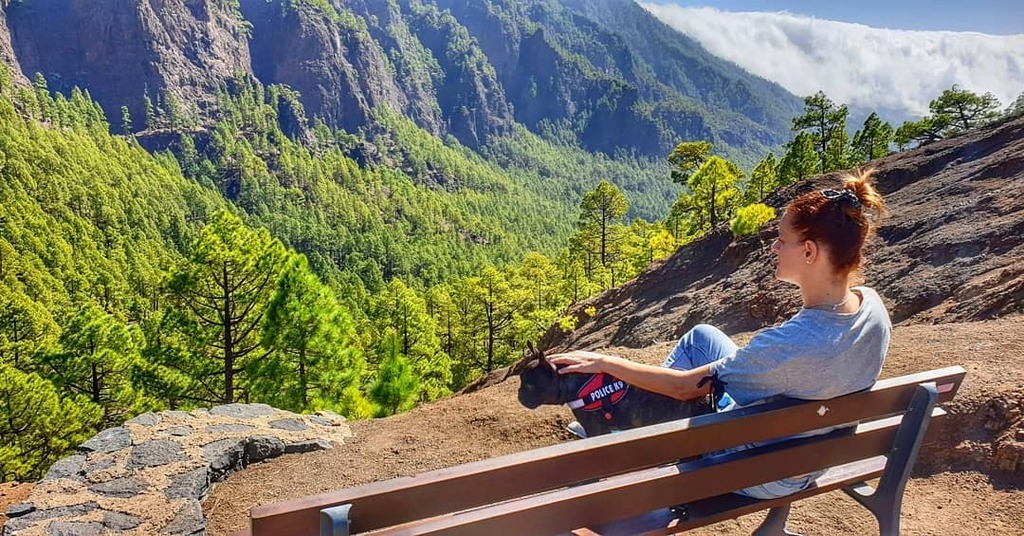 De domingo...
.
.
#10likes #20likes #instamoments #picsoftheday #photooftheday #photos #photographylovers #photographyeveryday #photography #photographer #photoart #canarios5estrellas #canaryislands #canarias #canariasgrafias #canarias_life #canariasahora #canariasviva #cana…