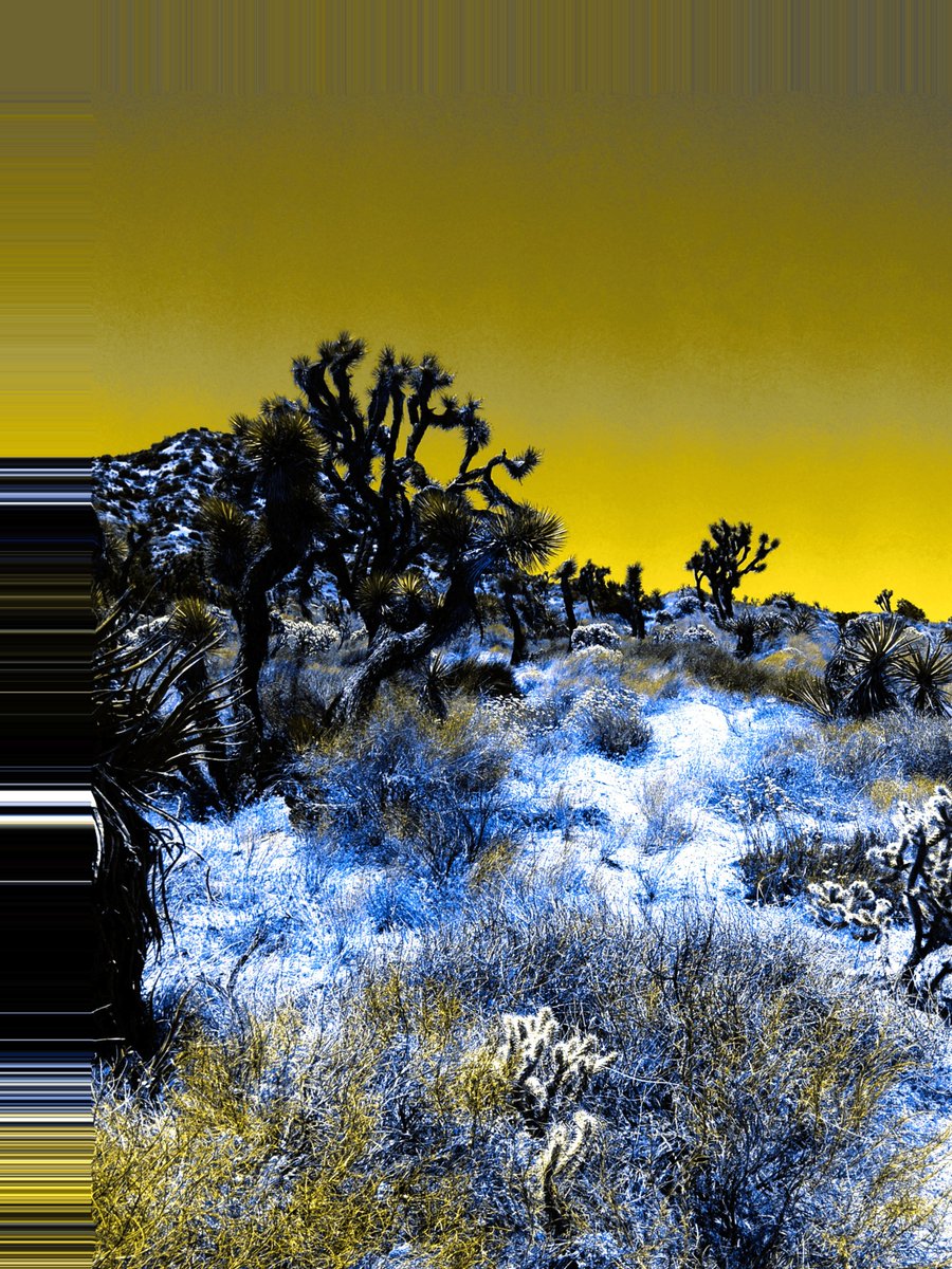 AMLspace's tweet image. Glitch Botanica x Desert Life No.1 by @riafish (Ria Rajan, and check out an animated version at Ria's instagram! instagram.com/p/CCCpTsfJyOB/ )

Currently on display at art-music-lit.space as part of our #DeadReckoning exhibition