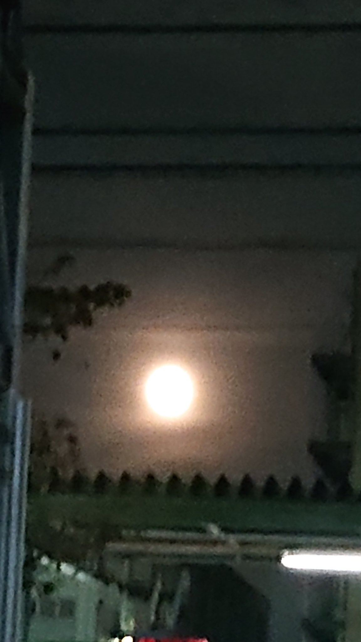 今日も満月 - Search / X