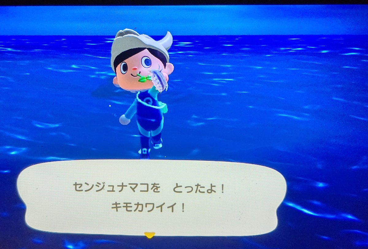 海 あつ ランキング 幸 森 の 値段