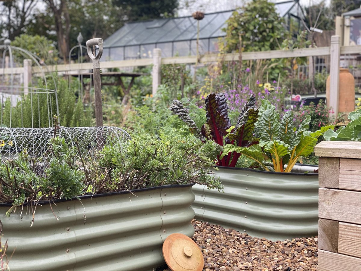 It may not work and you might not get involved, but <a href="/Saralimback/">Sara Venn 🏳️‍🌈🏳️‍⚧️ she/her</a> and I just though about starting #GardenLockdownJobs to show you one thing you can do in the garden every day during the new lockdown in the UK. Even if you don’t garden, hope it spreads some positivity! PLEASE RT