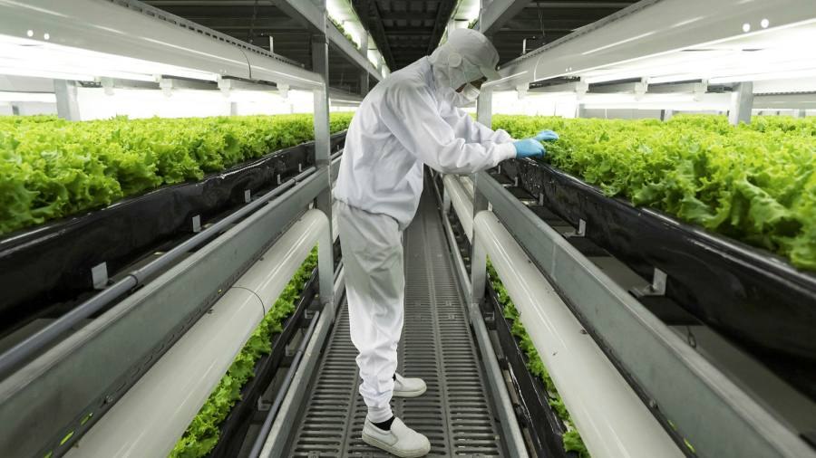 For now, however, the industry's reputation is for producing more expensive products with better taste.Titan.