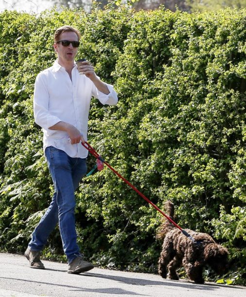 GingersnapDamo's tweet photo. Today is National Go Cook For Your Pets Day. What does Damian Lewis feed his pup Petra? Find out here: https://t.co/LVzoc6gRpG #DamianLewis #GoCookForYourPetsDay #NationalGoCookForYourPetsDay 🐶🐕🐩 https://t.co/rYh6SzuPeG