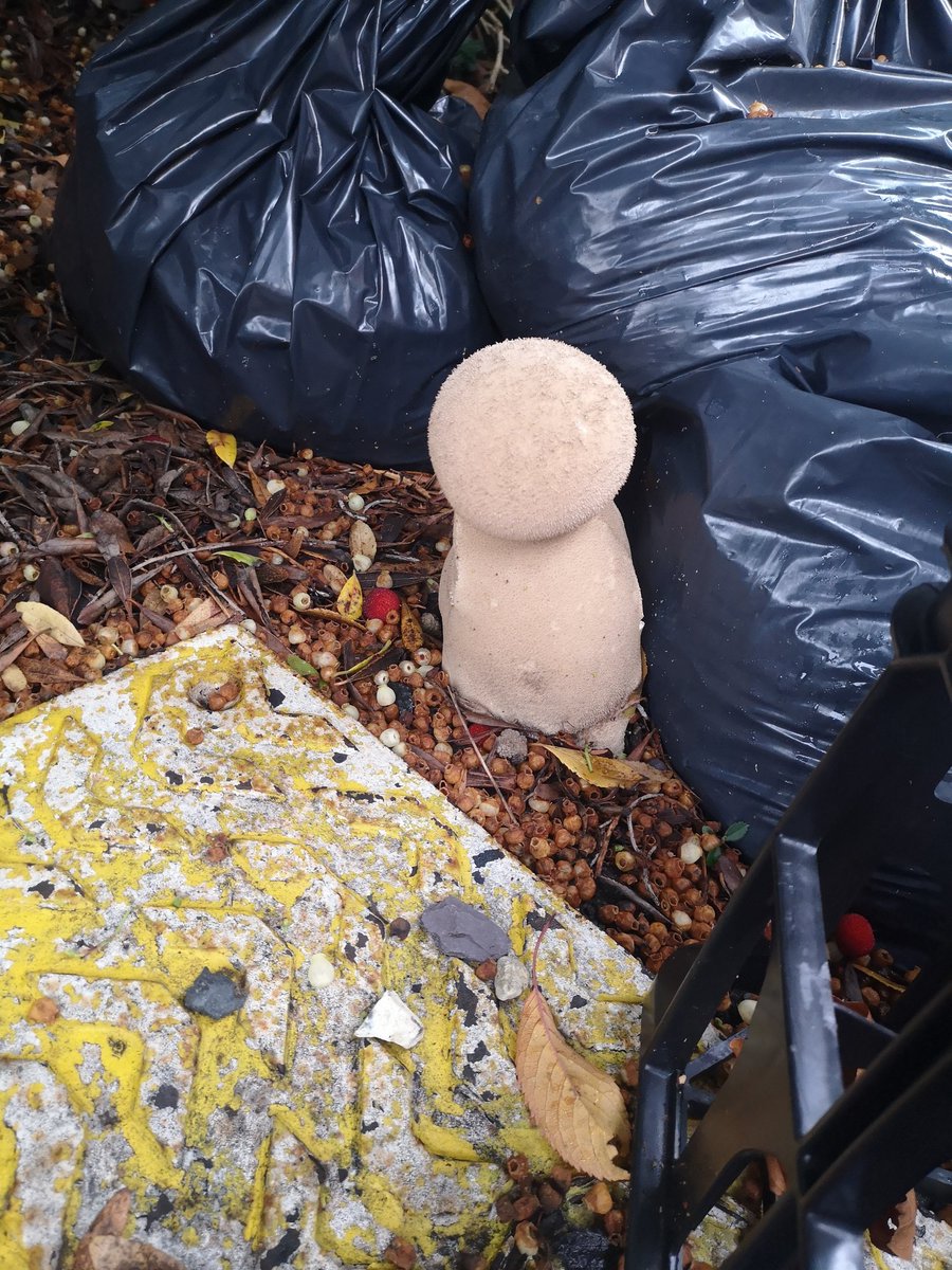 Ed Finch tweet media