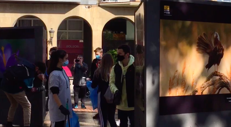 Rioja2's tweet photo. (🎥VÍDEO)Un grupo de jóvenes se organiza para limpiar los restos del vandalismo https://t.co/PFXUE2uKfp https://t.co/BJdcrszm7W