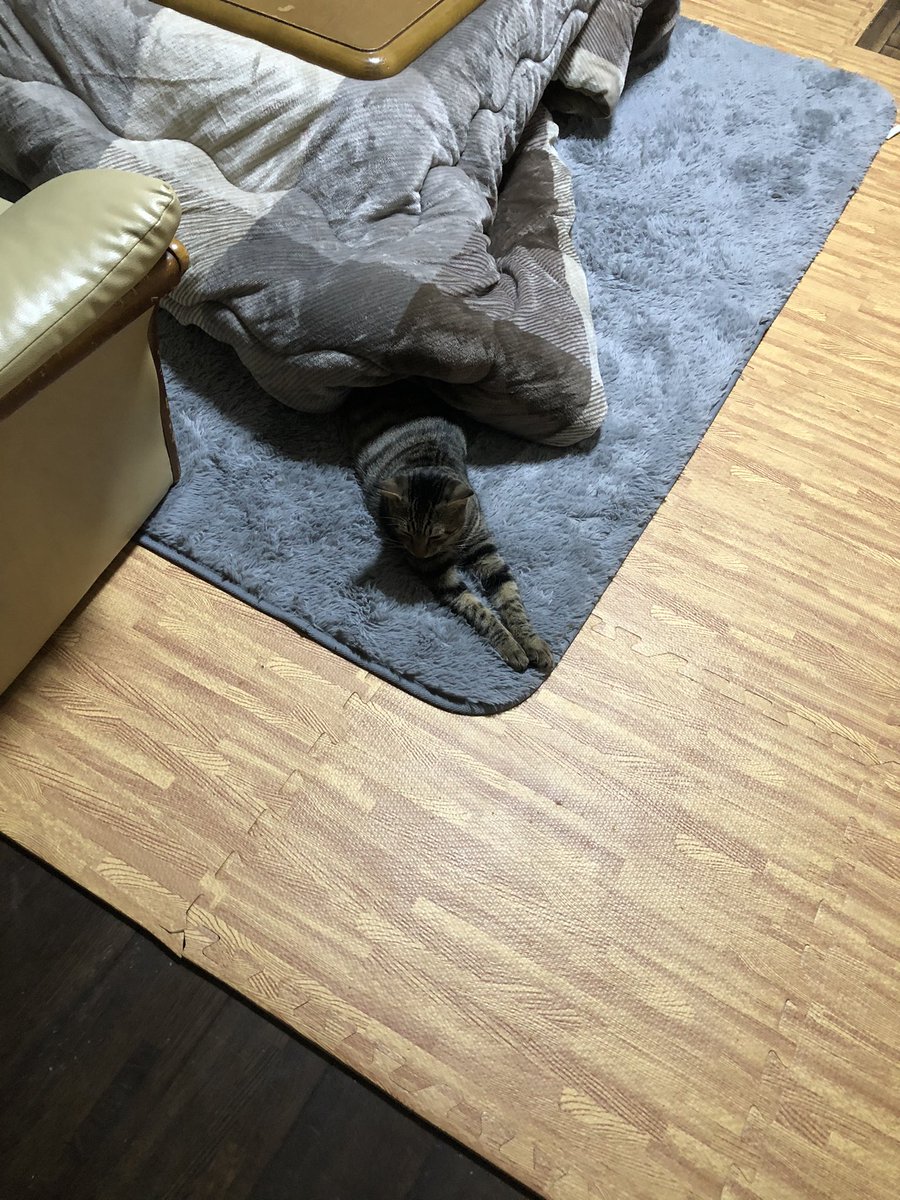 石川亜紀 Knbenik Twitter