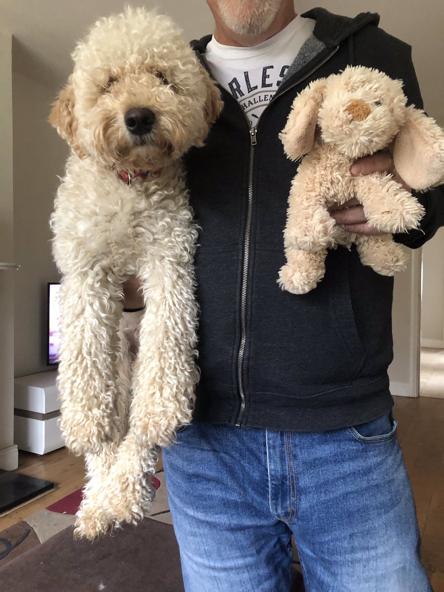 Ray Noonan tweet media