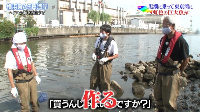 あんたい ひなくり参戦 On Twitter この番組に買うって発想は無い 鉄腕dash Https T Co Nhpjxmklhb Twitter