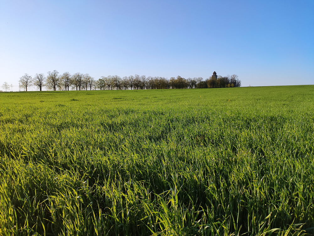 Ein Ziel für einen kurzen Spaziergang ist der Bismarckturm in Leipzig. Über das Naturdenkmal, der Krim-Linden-Allee, spaziert man bis zum Turm und hat von dort einen tollen Blick auf Leipzigs Norden.

#buntekarte #Leipzig #Sachsen #Bismarckturm

buntekarte.de/ausflugstipp-s…