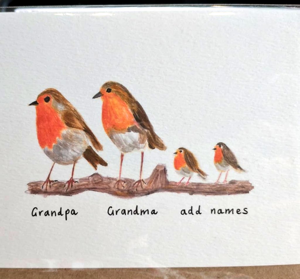 Personalised Christmas cards available to order, can be any combo to suit your family