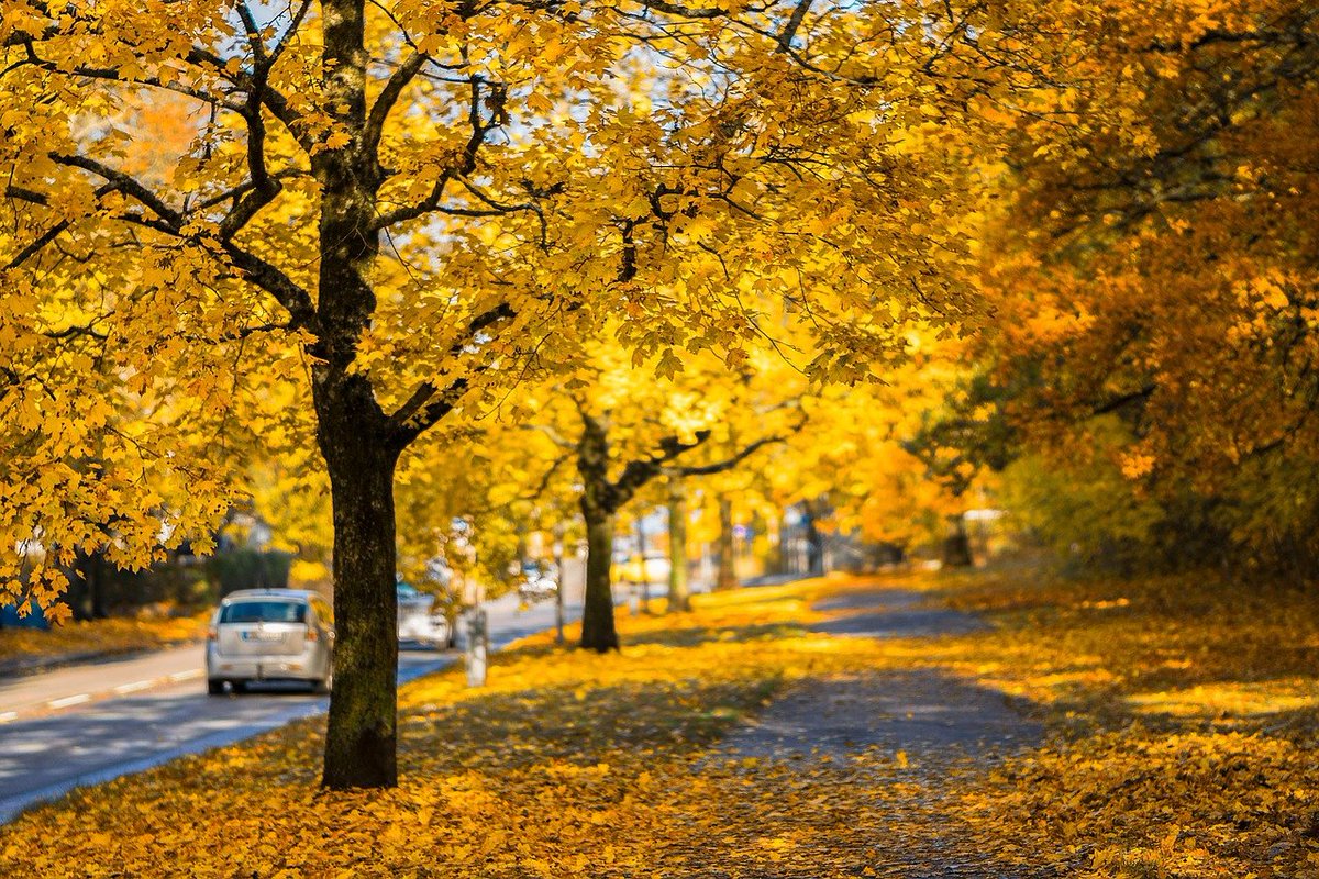 ACE_autoclub's tweet photo. Lasst das Auto stehen und macht einen achtsamen Herbstspaziergang....
#Verkehrssicherheit #forallthesaints #allerheiligen #easylikesundaymorning #stillernovember #flattenthecurve #bleibensiegesund #corona #covid19 #christopherus @WWF @Wald_in_DE https://t.co/lNT2x02wL0