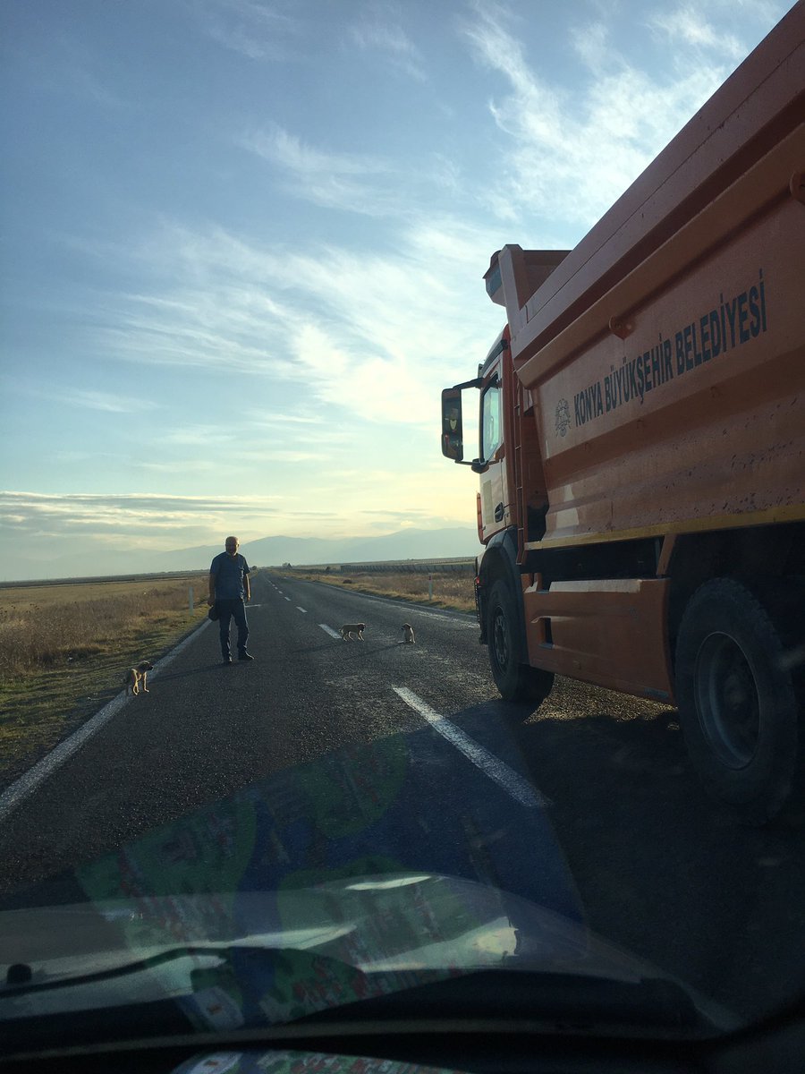 Abdullah Azmi Örs (@aazmiors) on Twitter photo Burası Yunak Akşehir yolu.Görevi gereği yollarda olan ve hayvanlara sevgisi ve saygısı olan güzel abimiz.Yoldaki köpek yavrularını  kenara alarak muhteşem bir hareket gösterdi.Böylesine bir personeliniz olduğu için gurur duymalısınız <a href="/u_ibrahim_altay/">Uğur İbrahim Altay</a> <a href="/Konyabuyuksehir/">Konya Büyükşehir Belediyesi 🇹🇷</a> Burası Yunak Akşehir yolu.Görevi gereği yollarda olan ve hayvanlara sevgisi ve saygısı olan güzel abimiz.Yoldaki köpek yavrularını  kenara alarak muhteşem bir hareket gösterdi.Böylesine bir personeliniz olduğu için gurur duymalısınız <a href="/u_ibrahim_altay/">Uğur İbrahim Altay</a> <a href="/Konyabuyuksehir/">Konya Büyükşehir Belediyesi 🇹🇷</a>