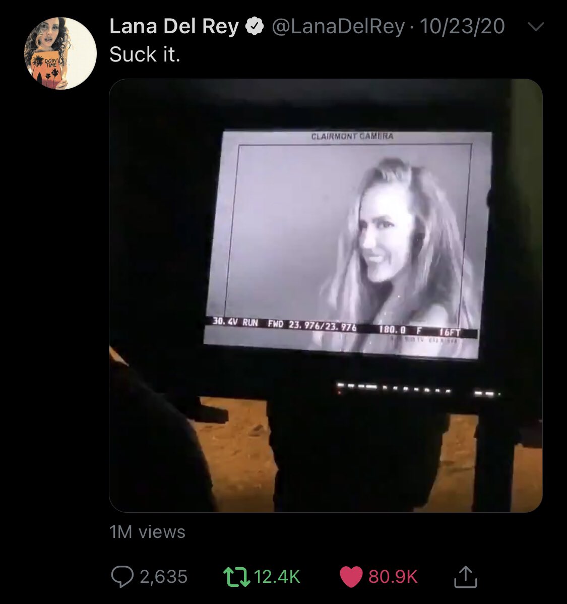 lana stated that the chemtrails title track is about her and her siblings and her friends having fun. that’s exactly what’s going on in the behind-the-scenes footage of a vampire themed music video-