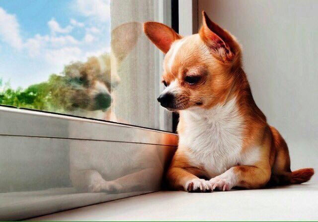 Mthethwa_Sifis0's tweet image. I see #johnvuligatechallenge ladies are here too #idolssa wearing their uniform 🤣🤣🤣🤣 but Ke camera man with your editors! So disappointing maarn!