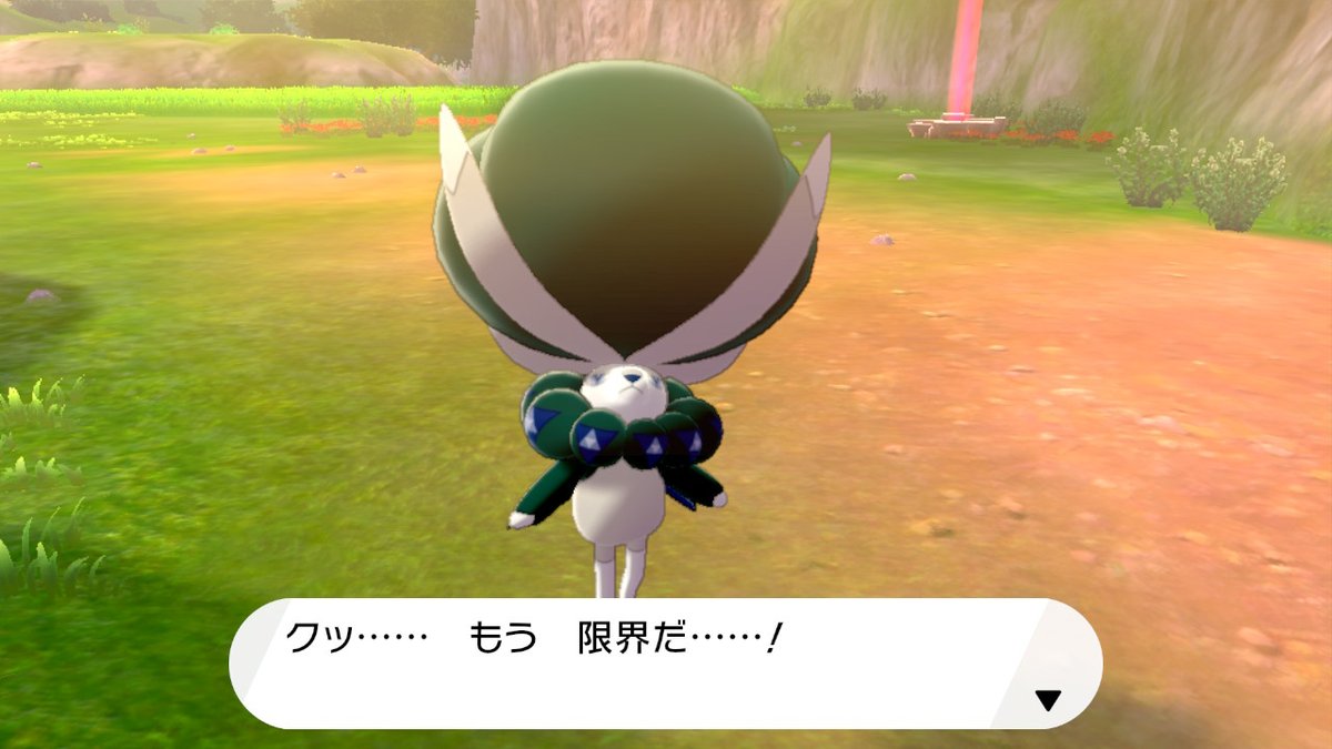 あおい 今日のスクショ ポケモン剣盾 Nintendoswitch