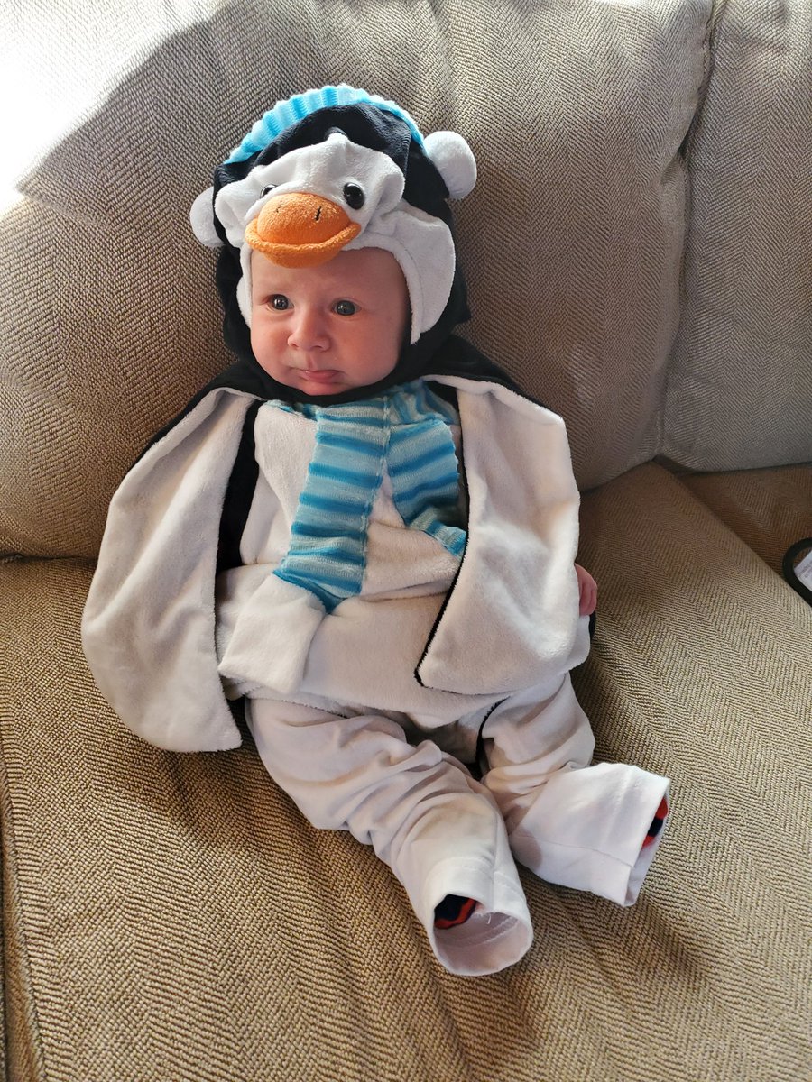mama_confer's tweet photo. 1 month of the cutest penguin around 😍💙 https://t.co/kIguVfvpw0