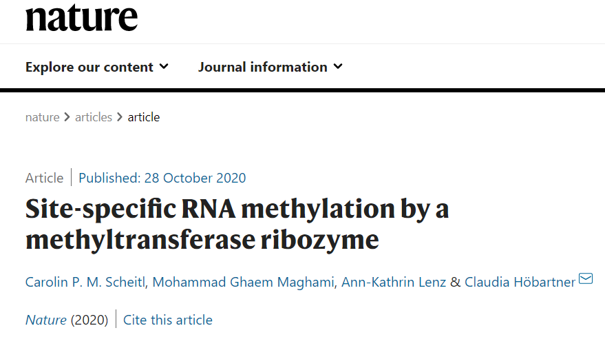 The #RNAWorld hypothesis gets another boost from synthetic biologists. The Hobartner lab makes a methyltransferase #ribozyme, showing how early RNA enzymes could have expanded their own chemical diversity and perhaps methylated other molecules. nature.com/articles/s4158…