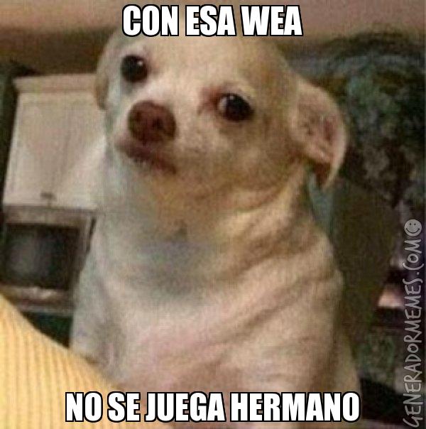 Elv4FNFX0AY5FSZ.jpg